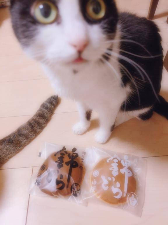ともかpicture